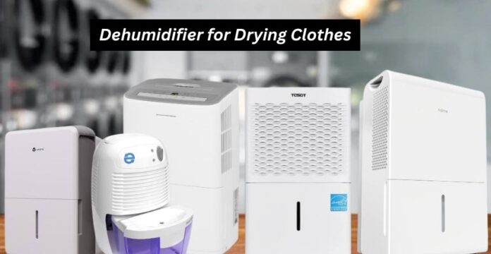 Dehumidifier for Drying Clothes