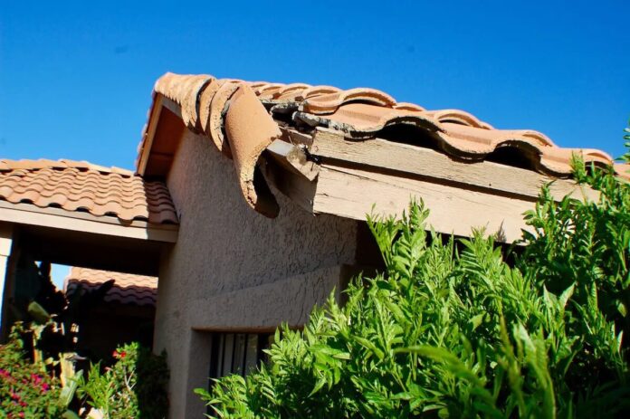 New Roof